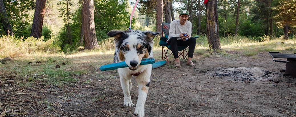 ruffwear stick