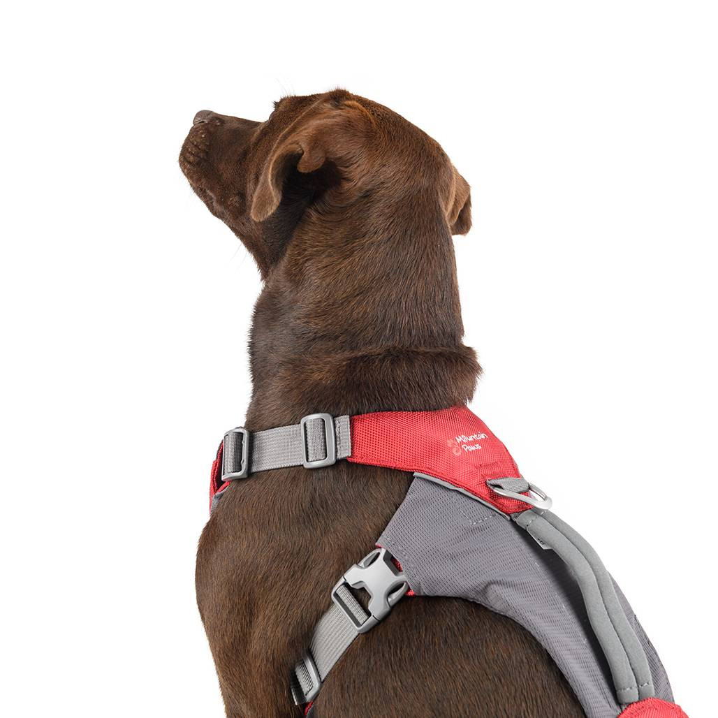 mountain paws dog collar