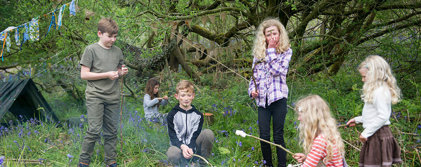 Woodland Exploration Woodland Exploration