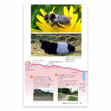 A page excerpt from Nidderdale & Wharfedale - OS Short Walks Made Easy