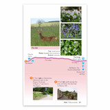 A page excerpt from Devon's Jurassic Coast - OS Short Walks Made Easy