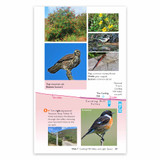 A page excerpt from Shropshire Hills - OS Short Walks Made Easy