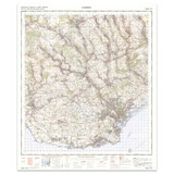 Reproduction Cardiff vintage map flat view