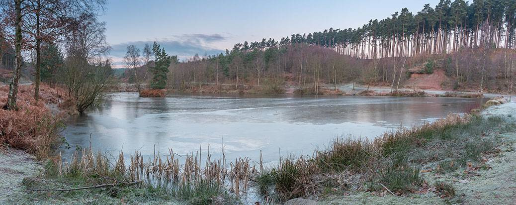 OS Map of Cannock Chase & Chasewater Explorer 244 Map Ordnance Survey Shop