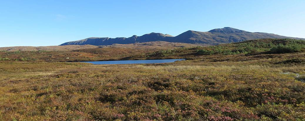 Assynt