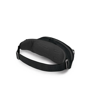 picture of Daylite Waist Black Pack