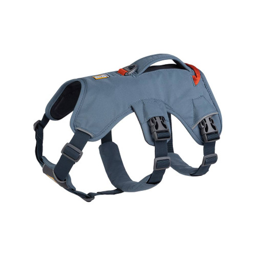 Ruffwear Web Master Dog Harness in slate blue as though worn by a dog showing the harness fixtures and padded straps