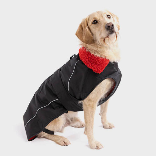 Dog facing to the right wearing a Dryrobe Black & Red Dog Coat showing the chest and side of the coat with reflective piping
