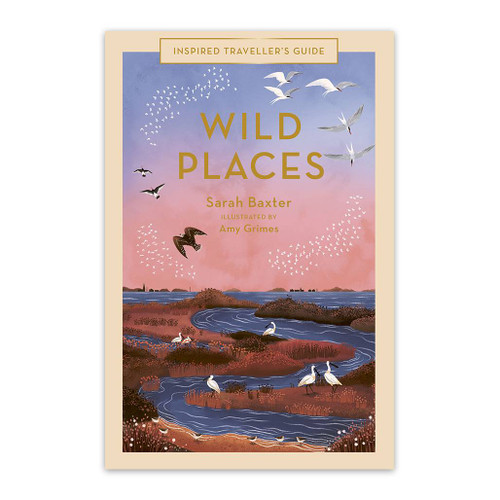 Wild Places by Sarah Baxter illustrated by Amy Grimes travel guide front cover