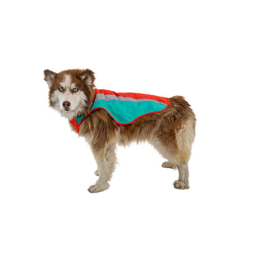 Dog wearing the Ruffwear Lumenglow Hi-Vis Jacket in red sumac colour