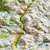 Close-up map view of 3D Map of Dartmoor National Park tilted to show its 3D properties