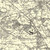 Close up of Authentic reproduction of Ordnance Survey map of Chester 1896-1904 with a yellow tint background