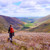 An image of Mosedale, Lake District