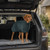 Red fox labrador standing in the back of a car while wearing Ruff and Tumble Forest Dog Drying Coat