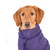 Close up of the Ruff and Tumble Heather Dog Drying Coat absorbent double layer dog drying coat worn by a brown dog