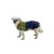 Small grey dog wearing the Ruffwear Sun Shower Jacket in midnight blue to show the coverage over the dogs back hips and thighs