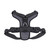 Black Dog Harness