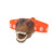 Brainstorm T-Rex Kids Headlamp on a white background