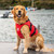 Dog Buoyancy Aid