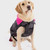 Dog wearing a Dryrobe Black Camo & Pink Dog Coat showing the chest and side of the coat with reflective piping