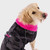 Dog wearing a Dryrobe Black Camo & Pink Dog Coat showing the back of the coat