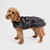 Dog wearing a Dryrobe Black Camo Dog Coat showing the chest and side of the coat with reflective piping
