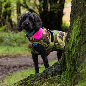 Dog in a dryrobe coat