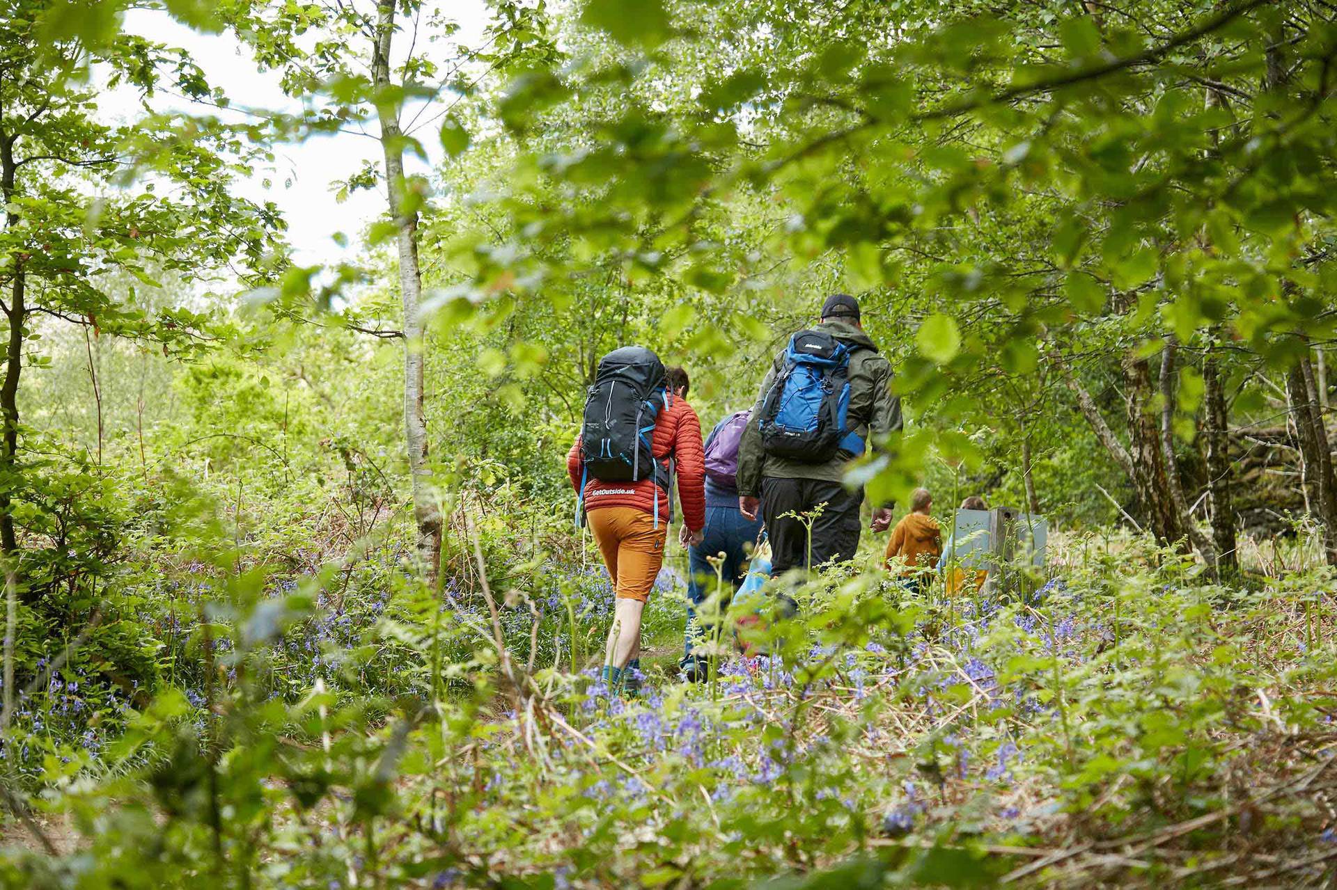 Mountain King Trail Blaze Walking Pole