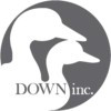 Down Inc.
