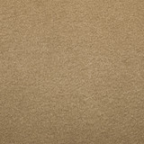 Polartec color swatch in sand