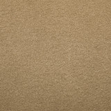 Polartec color swatch in sand