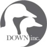 Down Inc.