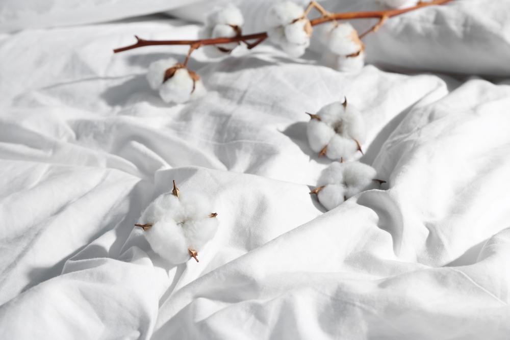 fresh picked cotton on cotton bed sheets