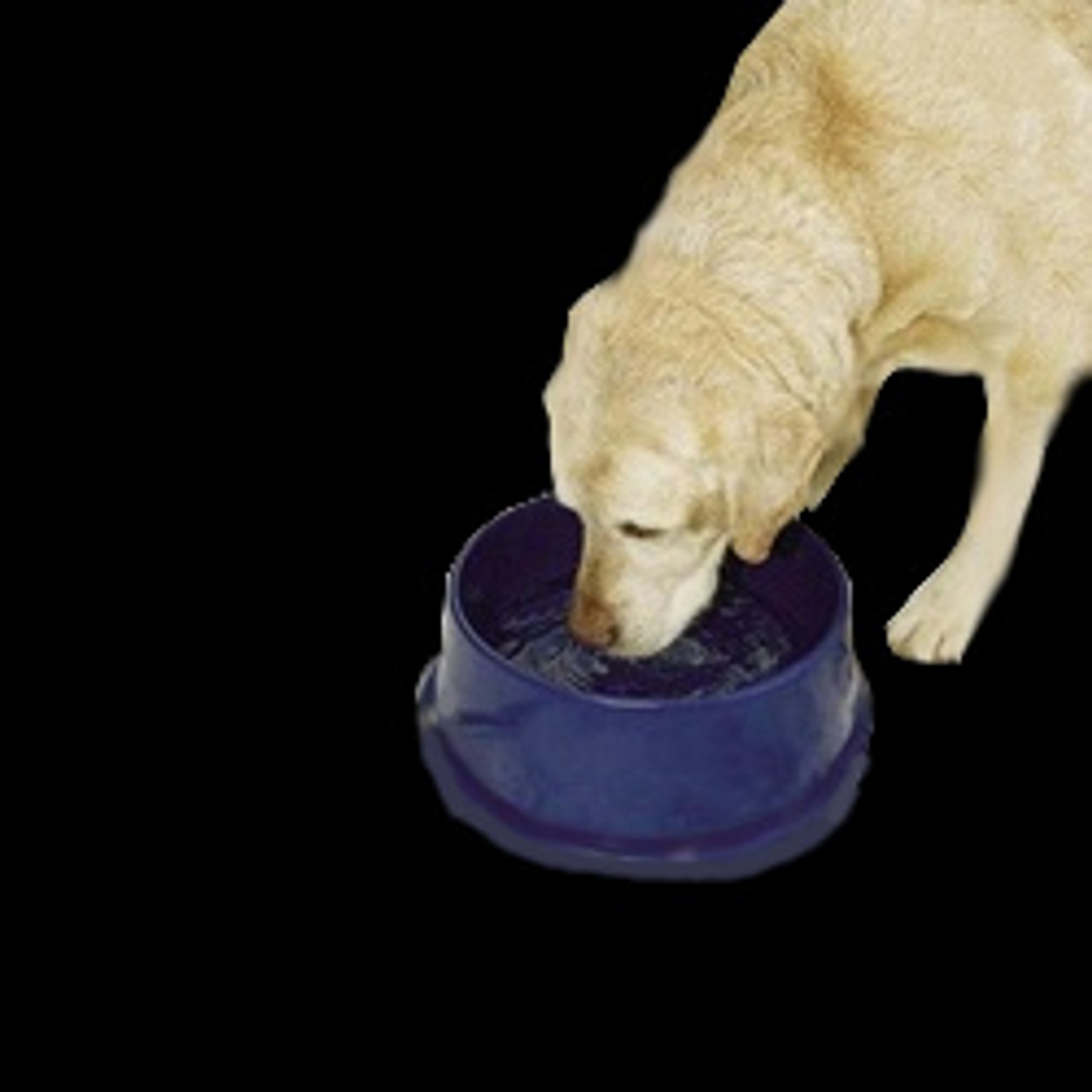 K&H Pet Products | Thermal Bowl - Blue, 96-Oz.