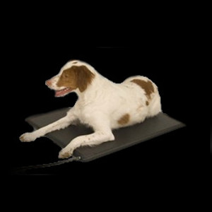 Lectro Kennel Lectro Kennel