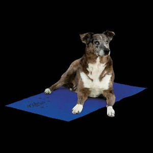 K&H Coolin' Pet Pad K&H Coolin' Pet Pad