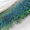 PH Peacock Sword