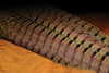 Hareline Ringneck Pheasant Tail Clump