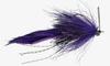 Boyle's Swamp Fox