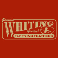 Whiting