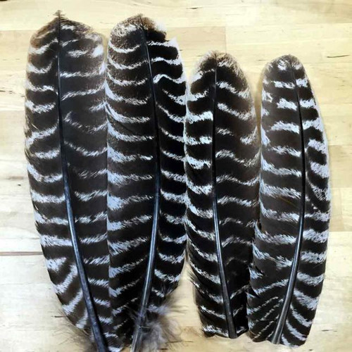 Nature's Spirit Ozark Barred Turkey Quills