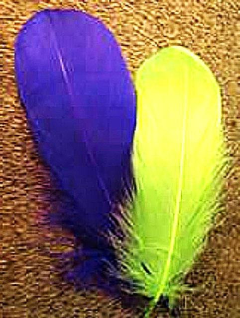 Nature's Spirit Select Goose Shoulder