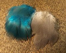 Nature's Spirit Teal Barred Flank