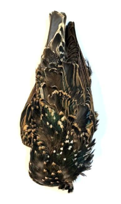 Nature's Spirit Starling Skin