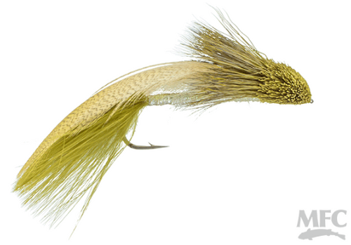 Galloup's Zoo Cougar