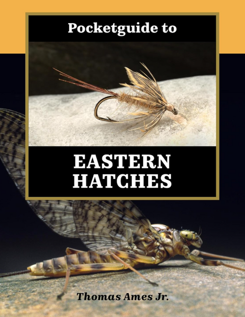 Pocketbook to Eastern Hatches by Thomas Ames Jr.
