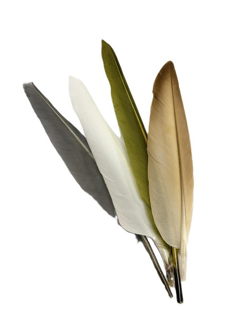 Duck Quills