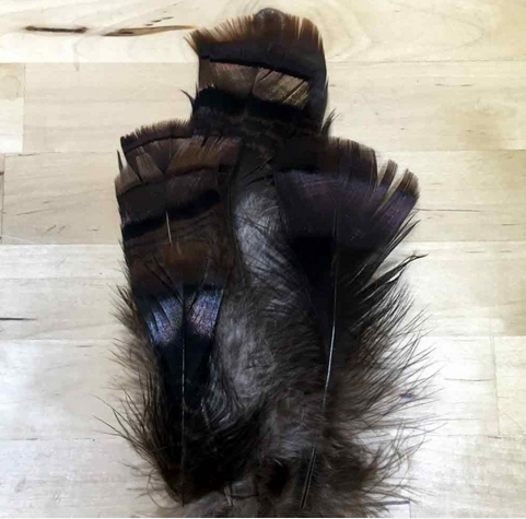 Ozark Iridescent Turkey Tail - Natural