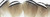 Wood Duck - Black And White Flank Feathers