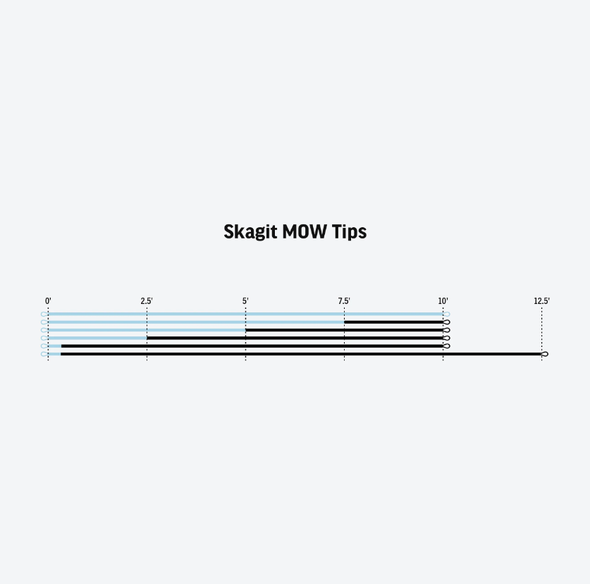 RIO Skagit Mow Tips